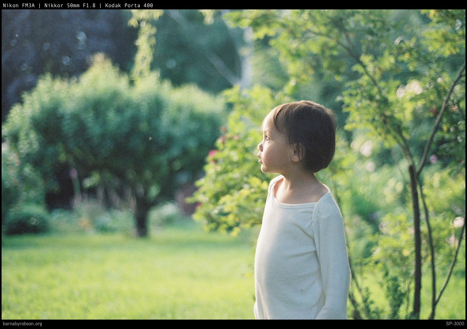 A child in a green garden, shot on film